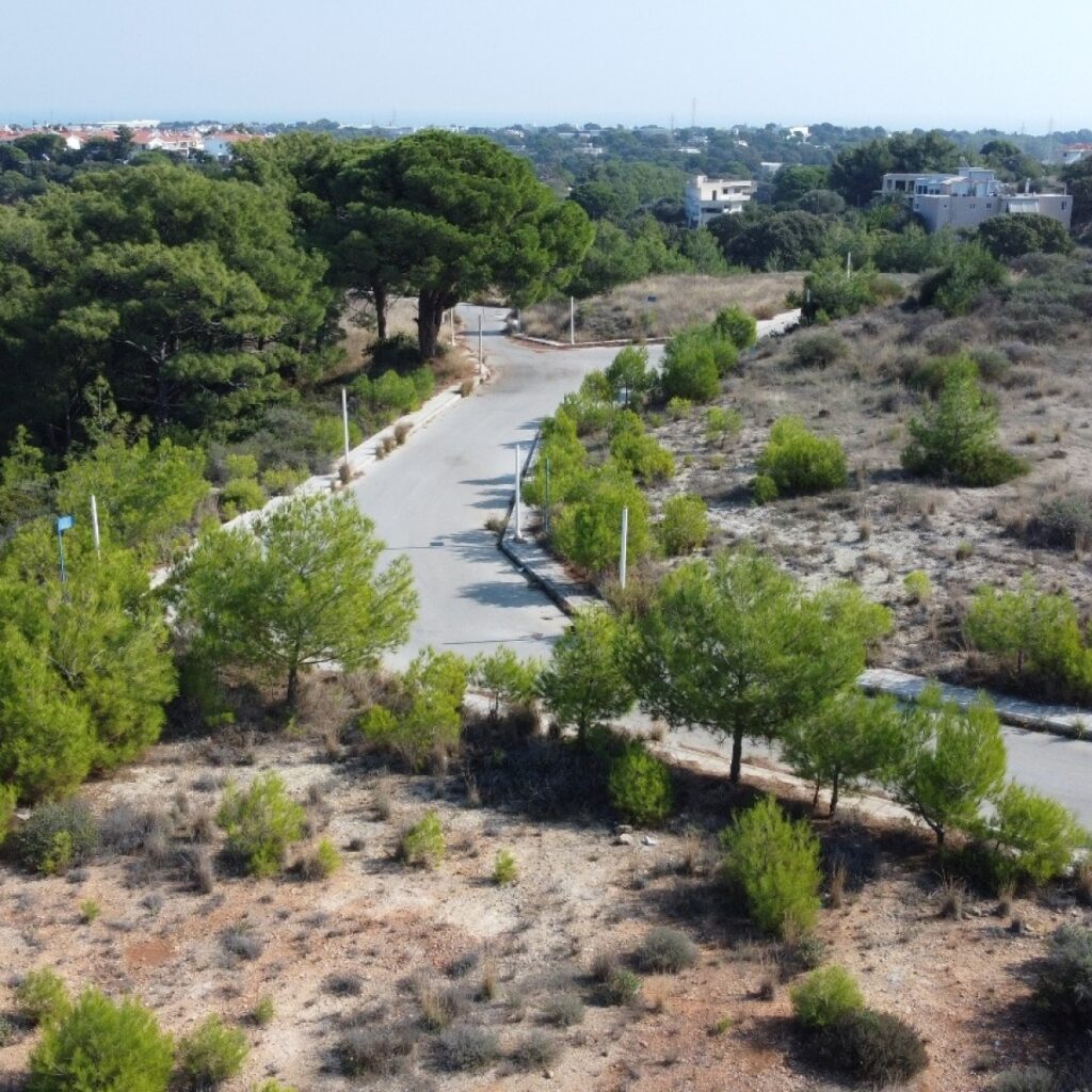 Όροφος:  C1688 ΡΟΔΟΣ – ΑΙΓΥΠΤΙΩΤΕΣ ΠΩΛΕΙΤΑΙ 100.000€ ΟΙΚΟΠΕΔΟ 412 τ.μ. +30 6970847459