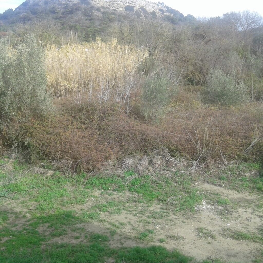 Όροφος:  C1705 ΡΟΔΟΣ ΠΩΛΕΙΤΑΙ 200.000€ οικόπεδο 402 τ.μ. +30 6970847459