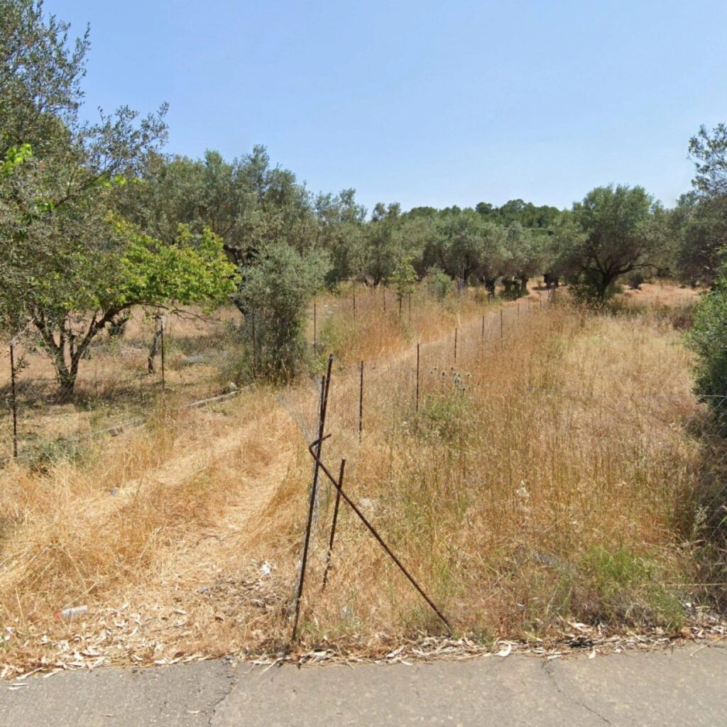Όροφος:  C1711 ΛΑΡΔΟΣ ΠΩΛΕΙΤΑΙ 220.000€ οικόπεδο 1.930τ.μ. +30 6970847459