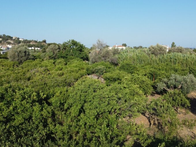 Όροφος:  C1263 ΑΦΑΝΤΟΥ ΠΩΛΕΙΤΑΙ 90.000€ αγροτεμάχιο 5.400 τμ οικοδομήσιμο +30 6970847459