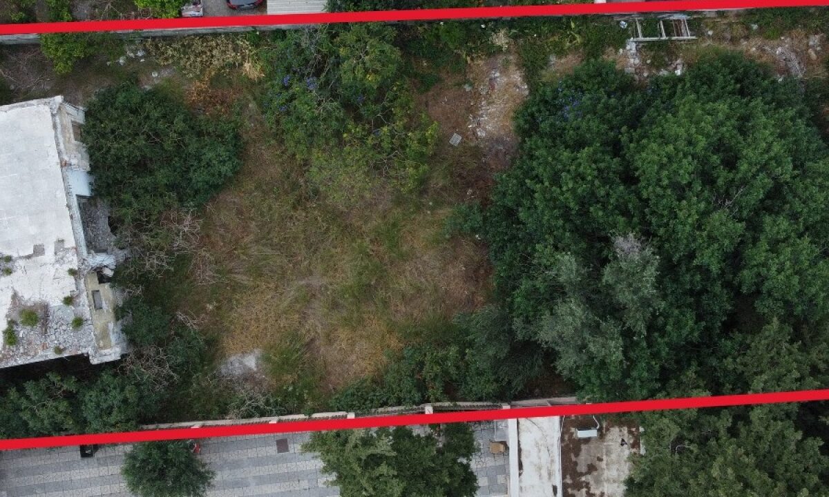 238_dji_0951-3_thb